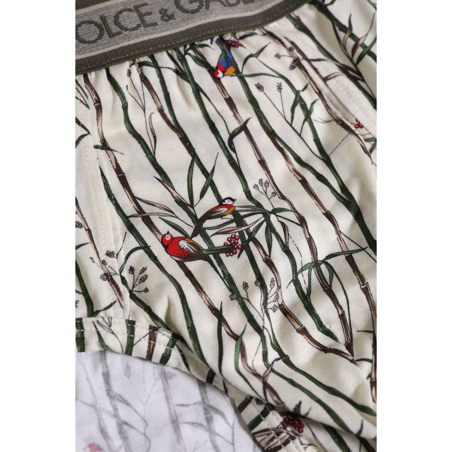 Dolce & Gabbana Ivory Bird Print Cotton Regular Brief Underwear