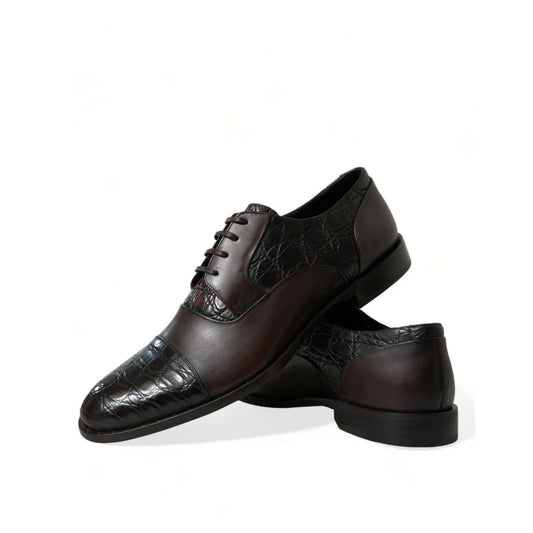 Dolce & Gabbana Brown Exotic Leather Formal Men Dress Shoes